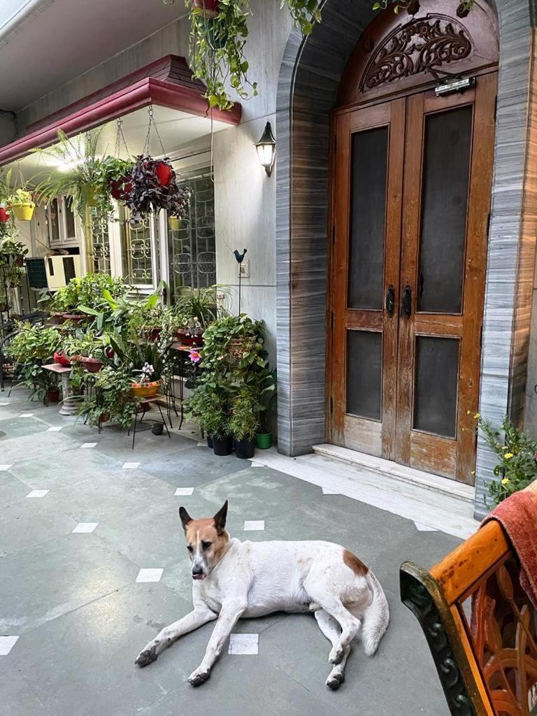 نيودلهي Delhi Bed And Breakfast المظهر الخارجي الصورة
